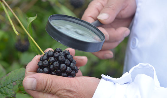 �������ǲ�(�й���)�ٷ���վ